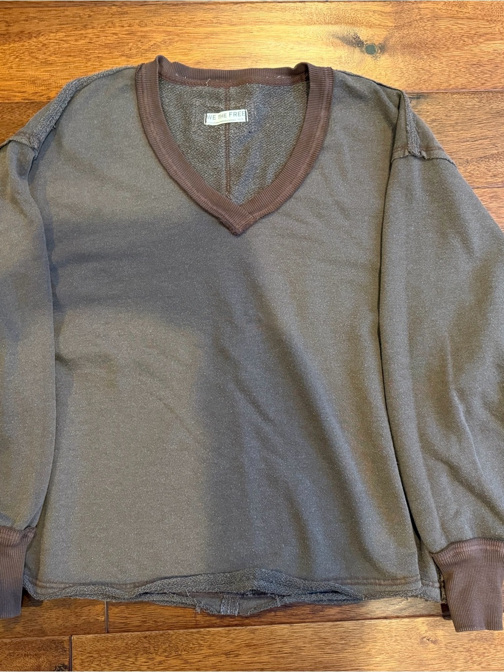 Free People Sweatshirt